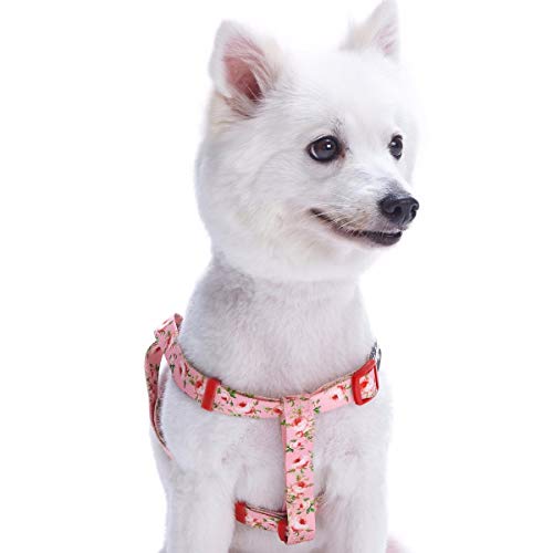 Floral Rose Step-in Dog Harness - Small