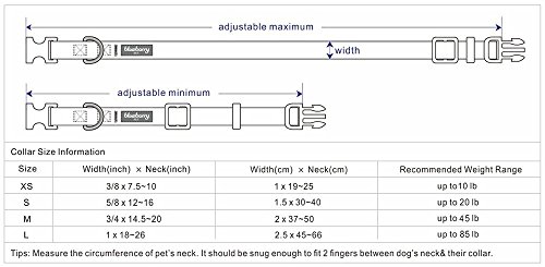Floral Rose Baby Pink Dog Collar, Medium