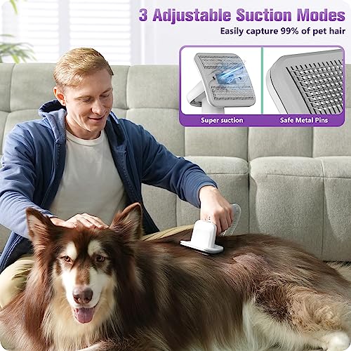 Pet Grooming Kit & Dog Hair Vacuum