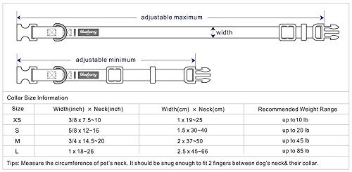 Floral Rose Baby Pink Dog Collar, Medium