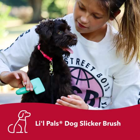 Coastal Pet - Li'l Pals - Dog Slicker Brush with Coated Tips - Dog Grooming Supplies