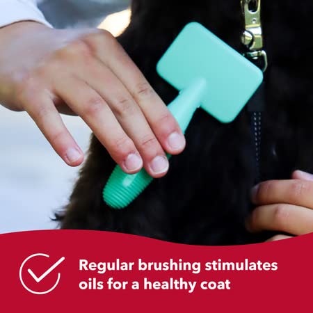 Coastal Pet - Li'l Pals - Dog Slicker Brush with Coated Tips - Dog Grooming Supplies