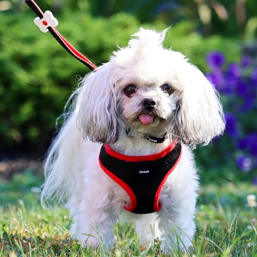 Coastal Pet - Li'l Pals - Dog Slicker Brush with Coated Tips - Dog Grooming Supplies