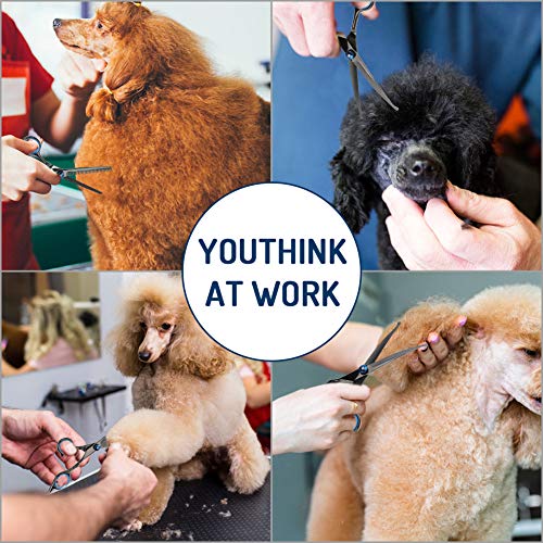 Dog Grooming Scissors Kit, Stainless Steel Fast Cut Pet Grooming Scissors Set, Safety Round Tip Thinning, Straight, Curved Shear with Grooming Comb for Cutting Hair of Dog, Cat or Other Pet