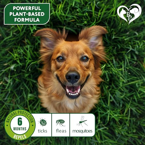 Rolf Club 3D FLEA Collar for Dogs - Flea and Tick Prevention for Dogs - Dog Flea and Tick Control for 6 Months - Safe Tick Repellent - Waterproof Tick Treatment (M)