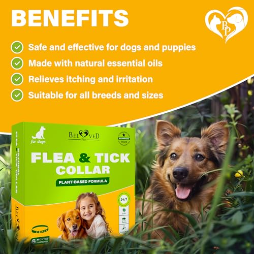 Rolf Club 3D FLEA Collar for Dogs - Flea and Tick Prevention for Dogs - Dog Flea and Tick Control for 6 Months - Safe Tick Repellent - Waterproof Tick Treatment (M)