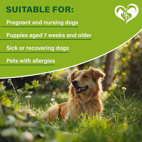 Rolf Club 3D FLEA Collar for Dogs - Flea and Tick Prevention for Dogs - Dog Flea and Tick Control for 6 Months - Safe Tick Repellent - Waterproof Tick Treatment (M)