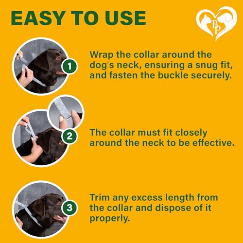 Rolf Club 3D FLEA Collar for Dogs - Flea and Tick Prevention for Dogs - Dog Flea and Tick Control for 6 Months - Safe Tick Repellent - Waterproof Tick Treatment (M)