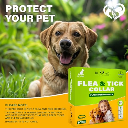 Rolf Club 3D FLEA Collar for Dogs - Flea and Tick Prevention for Dogs - Dog Flea and Tick Control for 6 Months - Safe Tick Repellent - Waterproof Tick Treatment (M)