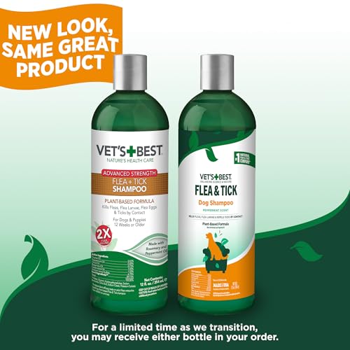 Vets Best Flea and Tick Advanced Strength Dog Shampoo | Flea Treatment for Dogs | Flea Killer with Certified Natural Oils | 12 Ounces