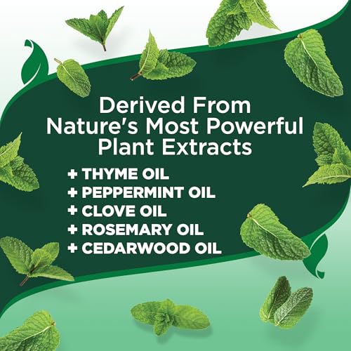 Vets Best Flea and Tick Advanced Strength Dog Shampoo | Flea Treatment for Dogs | Flea Killer with Certified Natural Oils | 12 Ounces