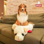 Lamb Chop Calming Dog Bed