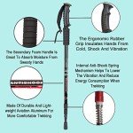 Collapsible Lightweight Hiking Poles for All Ages