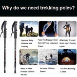 Collapsible Lightweight Hiking Poles for All Ages