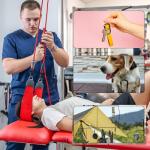 Heavy Duty 6PCS Carabiner Clips for Outdoor Use