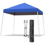 Oneofics 10x10 FT Portable Pop Up Canopy