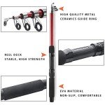 2PCS Collapsible Fishing Pole and Reel Combo