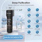 Waterdrop 10UA Under Sink Water Filter System