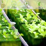 Halatool 1 Inch Rockwool Cubes Garden Rock Wool Stonewool Grow Cubes Starter Plugs for Hydroponics Soilless Cultivation Clone Plants Germination Start (4 Sheets of 200 Cubes)
