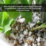 PVP Industries PVP105408 120 Quarts, 4 Cubic Foot of Organic Perlite Planting Soil Additive, White