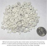 PVP Industries PVP105408 120 Quarts, 4 Cubic Foot of Organic Perlite Planting Soil Additive, White