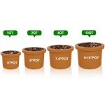 Organic Perlite for Plants, Soil Amendment for Enhanced Drainage and Growth, Ideal for Potting Mixes (1 Quart)