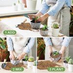 Sukh 14.6OZ Vermiculite - Organic Vermiculite for Gardening Plants Fine Horticultural Soil Amendments Bulk Additive Perfect Potted and Garden Professional Grade 1-3mm