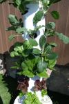 ALTO GARDEN GX Hydroponic Tower | Vertical Planter Tower | Hydroponics Growing System Kit | Food Grade with 24 Net Pots (Without Lights)