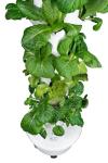 ALTO GARDEN GX Hydroponic Tower | Vertical Planter Tower | Hydroponics Growing System Kit | Food Grade with 24 Net Pots (Without Lights)