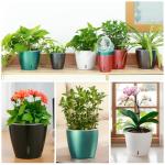 KvyusFlourish Self-Watering Pots for Indoor Plants, 6-Pack 6.7'' Self Watering Planter with Drainage Holes, Small African Violet Pots with Water Indicator, Clear Wick Pot, Black