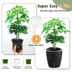 KvyusFlourish Self-Watering Pots for Indoor Plants, 6-Pack 6.7'' Self Watering Planter with Drainage Holes, Small African Violet Pots with Water Indicator, Clear Wick Pot, Black