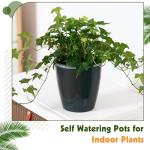 KvyusFlourish Self-Watering Pots for Indoor Plants, 6-Pack 6.7'' Self Watering Planter with Drainage Holes, Small African Violet Pots with Water Indicator, Clear Wick Pot, Black