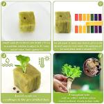 Halatool 1 Inch Rockwool Cubes Garden Rock Wool Stonewool Grow Cubes Starter Plugs for Hydroponics Soilless Cultivation Clone Plants Germination Start (4 Sheets of 200 Cubes)