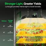 VIVOSUN VS4000 LED Grow Light with Full Spectrum Diodes & Brand Driver Dimmable Sunlike Lights for Seedling Veg & Bloom Plant Grow Lamp for 4x4/5x5 Grow Tent