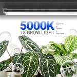 Barrina Plant Grow Lights, 4FT 5000K Full Spectrum Daylight White, 252W(6 x 42W, 1400W Equivalent), T8 LED Grow Light Strips, Growing Lamp Fixture, Plant Lights for Indoor Plants, Greenhouse, 6-Pack