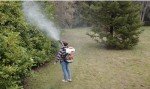 Invatech Italia Mister Duster Mosquito Fogger Sprayer
