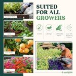 Petra CannaFogger Electric Spray Bottle for Plants