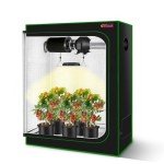48"x24"x60" Hydroponic Grow Tent with Window