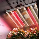 Spider Farmer SUPP-IR16 LED Grow Light Bars, 730-745nm IR Supplemental Light for Indoor Plants, 2X2, 3X3, 4X4 Grow Tents, Daisy Chain Infrared Bar Set, 23.6" Long