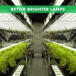 VIVOSUN T5 Grow Lights, 5000 Lumens per 4ft., 216W (4 X 54W), 6500K HO Fluorescent Tubes, with High-Output T5 Light Fixture Bulbs for Indoor Plants, 8ft Power Cord, 2 Hanging Cables, 2 On/Off Control