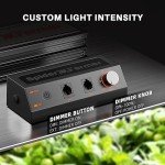 Spider Farmer 2024 New SF1000 LED Grow Light with Samsung LM301H EVO High Efficiency & Dimmable Lighting Full Spectrum Grow Light for Indoor Plants