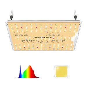 Spider Farmer 2025 SF1000D LED Grow Lights with Samsung LM301B Diodes Full Spectrum Grow Light for Indoor Plants Veg/Bloom Growing Lamps in Grow Tent