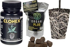 Clonex Rooting Gel 100ml with VPS OrganiPlug Hydroponic Seed Starter Plugs 50 Pack - Bundle