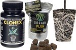 Clonex Rooting Gel 100ml with VPS OrganiPlug Hydroponic Seed Starter Plugs 50 Pack - Bundle
