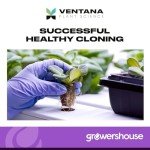 Clonex Rooting Gel 100ml with VPS OrganiPlug Hydroponic Seed Starter Plugs 50 Pack - Bundle