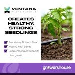 Clonex Rooting Gel 100ml with VPS OrganiPlug Hydroponic Seed Starter Plugs 50 Pack - Bundle