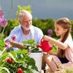 Lykvrii 3 Pack Net Pots 6 Inch for 5 Gallon, 2 in 1 Wide Lip Hydroponic Bucket Lids, DWC Hydroponic Baskets net Pot lid for 5 and 3.5 Gallon