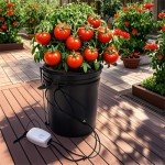 Lykvrii 3 Pack Net Pots 6 Inch for 5 Gallon, 2 in 1 Wide Lip Hydroponic Bucket Lids, DWC Hydroponic Baskets net Pot lid for 5 and 3.5 Gallon
