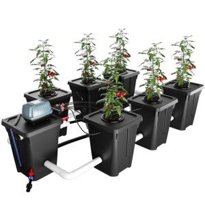 RDWC Hydroponics Grow System 6 Site + Reservoir, 7-Gallon Top Drip Recirculating Deep Water Culture Hydroponic Bucket System, Hydroponics Growing System Kit with Water Pump, Air Pump