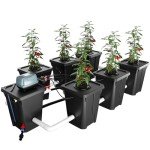 RDWC Hydroponics Grow System 6 Site + Reservoir, 7-Gallon Top Drip Recirculating Deep Water Culture Hydroponic Bucket System, Hydroponics Growing System Kit with Water Pump, Air Pump
